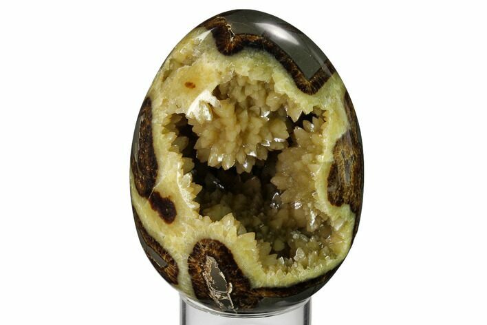 Calcite Crystal Filled Septarian Geode Egg - Utah #160273